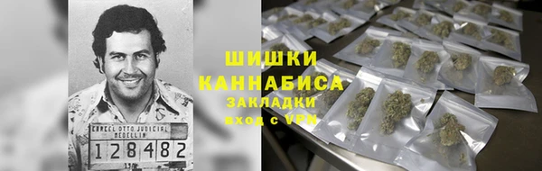 сатива Балахна
