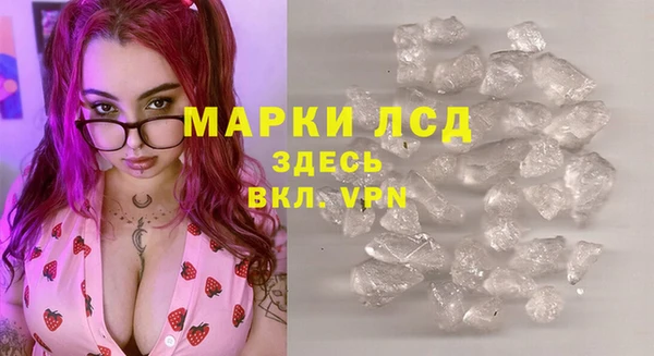 сатива Балахна