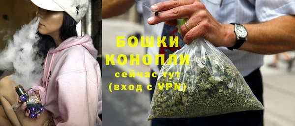 сатива Балахна