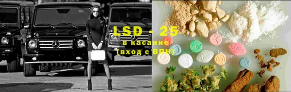 сатива Балахна