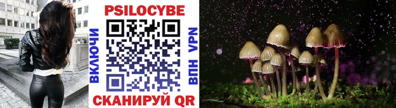 Галлюциногенные грибы Magic Shrooms  Покровск 